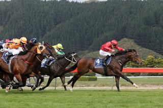 Ferrando leading all the way in the $50,000 Listed Lightning Handicap (1200m). Photo: Trish Dunell
